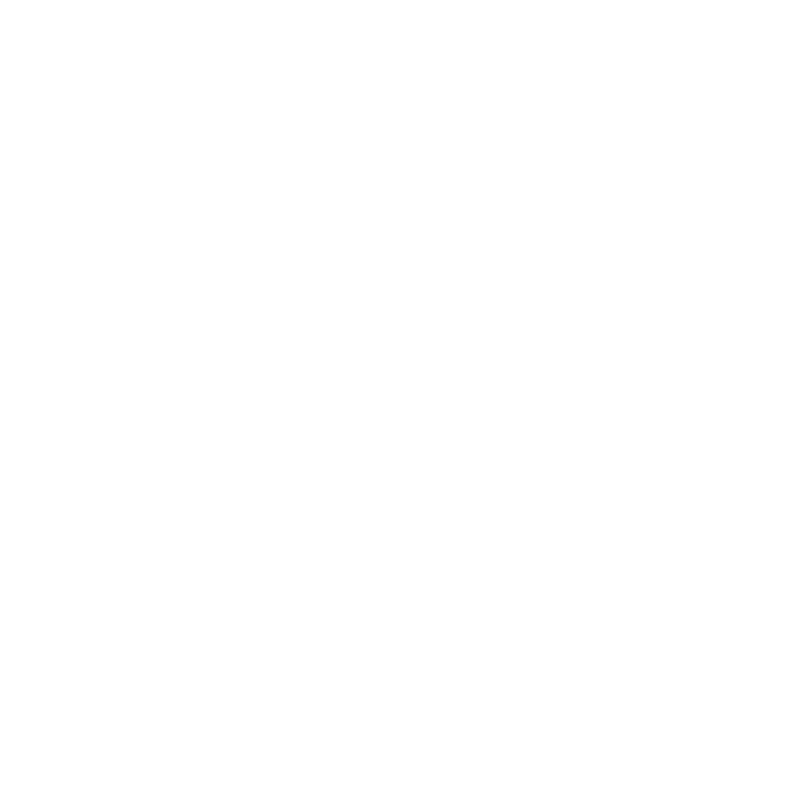 Lies Express